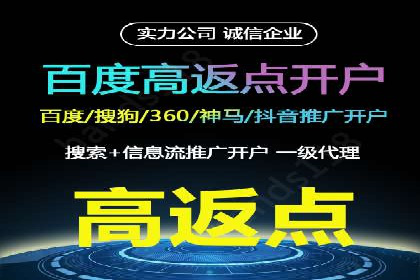 推广竞价策略解析：成功案例分享
