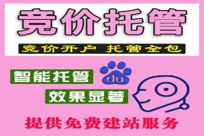 SEM竞价开户全攻略：实战案例分享